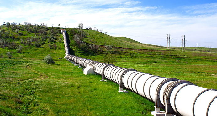 Utility Vegetation Management Natural Gas Pipeline ROW Lewis Services